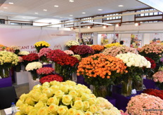 Overview of the booth from PrimaRoseFlowers.com.